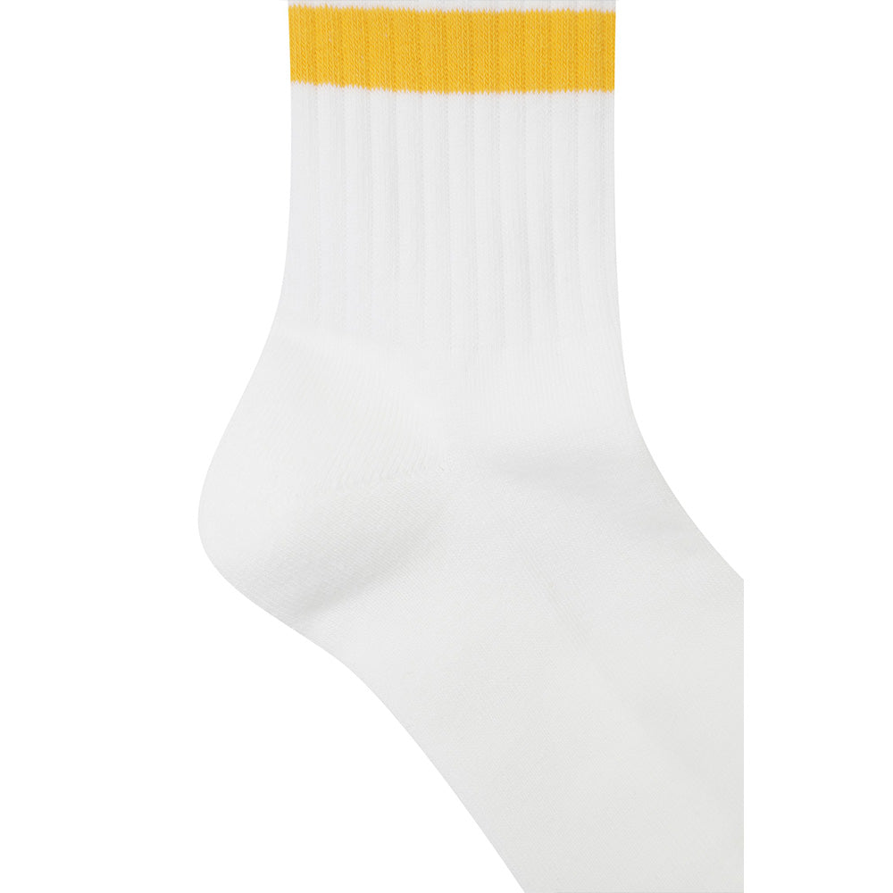 COLOR POINT SOCKS 彩色條紋中長襪